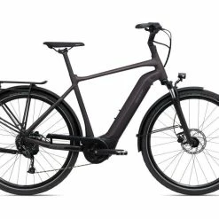 Giant Dailytour E+ 3 GTS